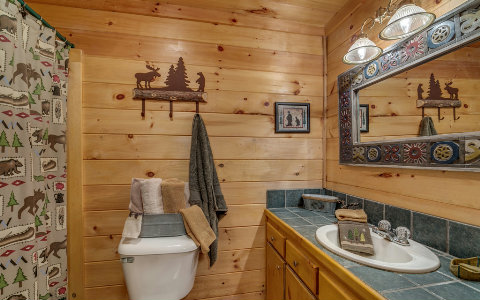 Rustic shower curtain in a country bathroom