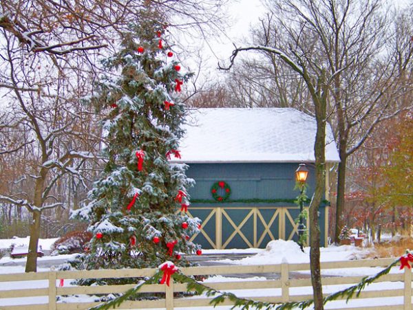 Decorated tree and barn for Christmas
