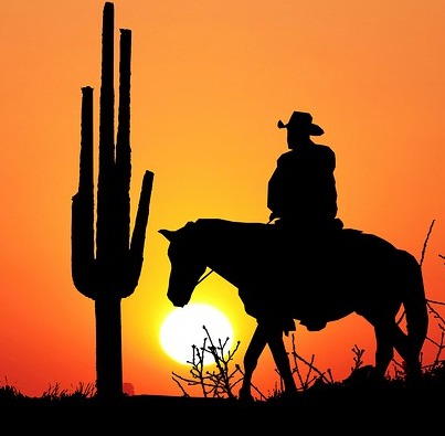 cowboy and horse in front of western sunset