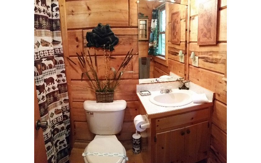 cabin shower curtain in a log home bath