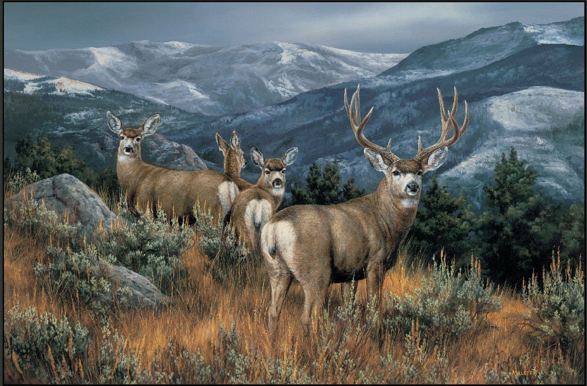 last glance mule deer doormat