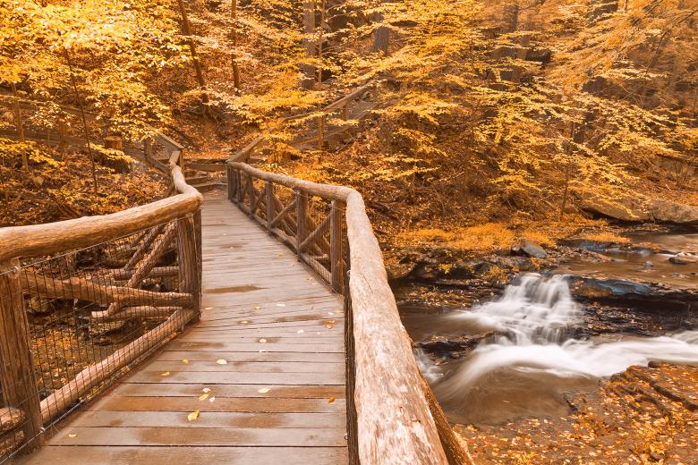 outdoor log railing