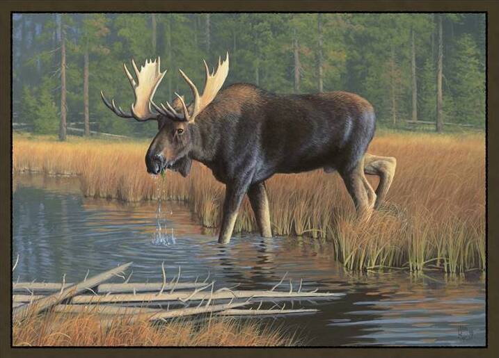 moose wildlife rug